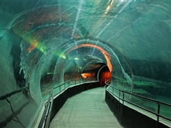 AquaRio