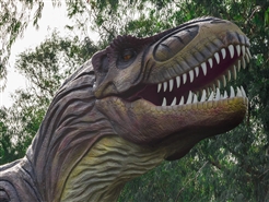 Vale dos Dinossauros